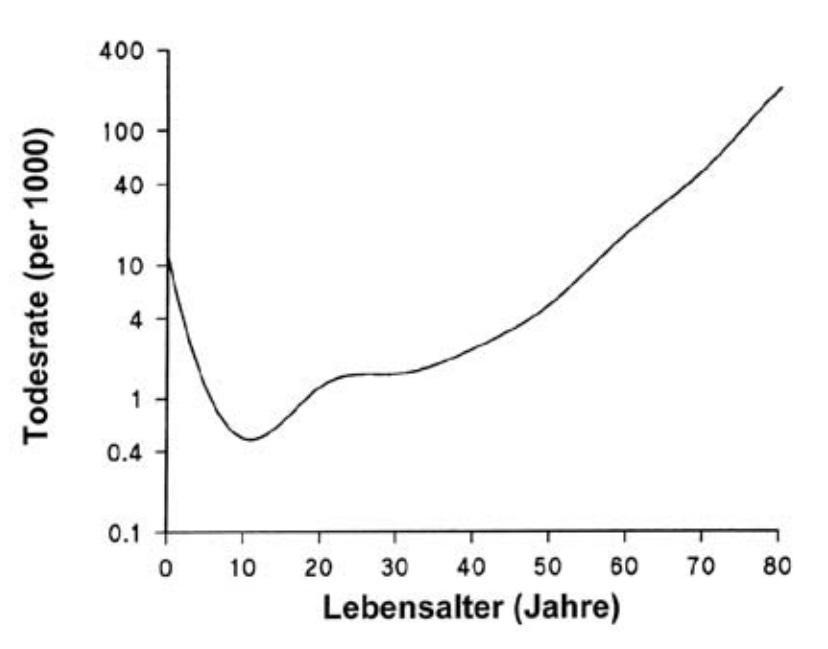 Gesetz der Mortalität